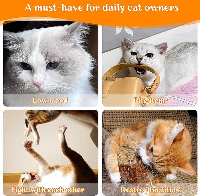 Cat Toys for Indoor Cats, 5Ps Cats Fetch Toys, Fluffy Toys for Playing, Interactive Kitten Toys, Kitty Chew Teething Toys, Cat Chew Toy for Kittens (Multi Color, 5 Pack)-Mewly Pet