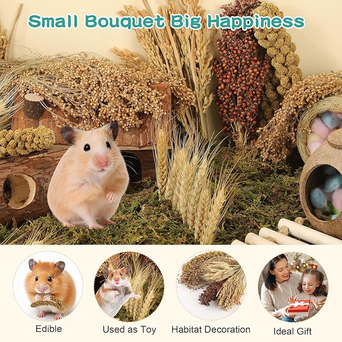 Hamster Spray Set - Natural Snack Grains & Chew Toys for Cage Decoration Accessories, Soft Bedding for Dwarf Syrian Hamsters, Gerbils, Mice & Small Pets-Mewly Pet