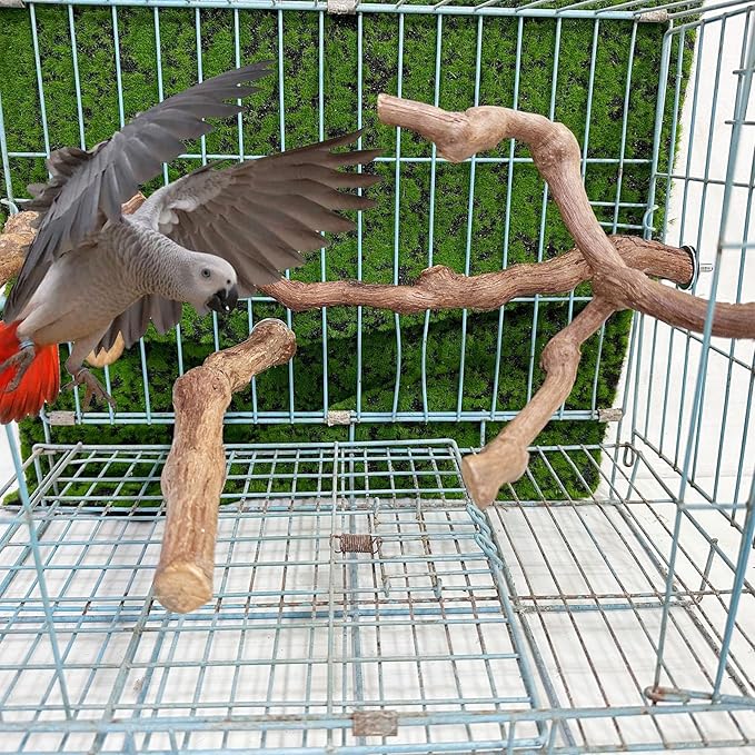 Allazone 4-Piece Bird Perch - Natural Grapevine Stick Swing Chewing Toys for Parrot Cages, Cockatiels, Parakeets, Finches-Mewly Pet