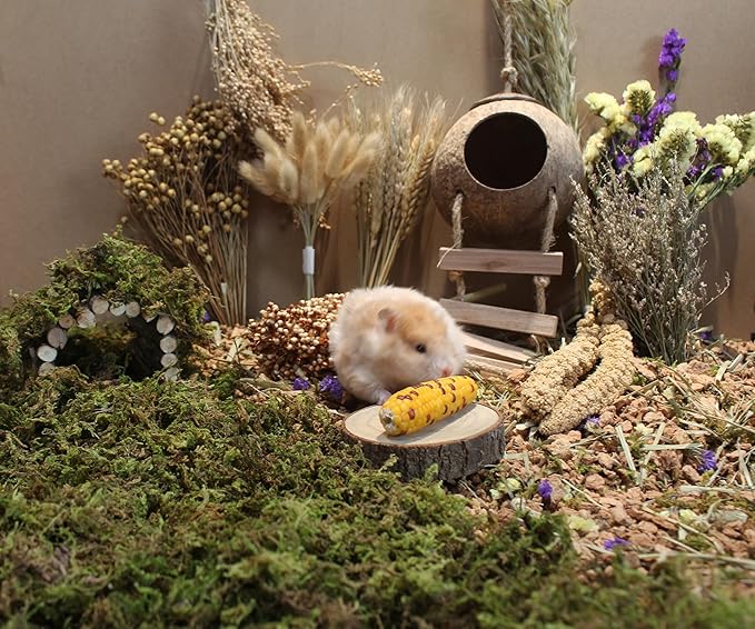 Natural Hamster Bedding - Flowers, Herbs, Sprays, Treat Cereal Grain for Cage Habitat Enclosure Decor - Hamster Chews for Dwarf Syrian Gerbils, Mice, Rat Forage - Pet Accessories-Mewly Pet