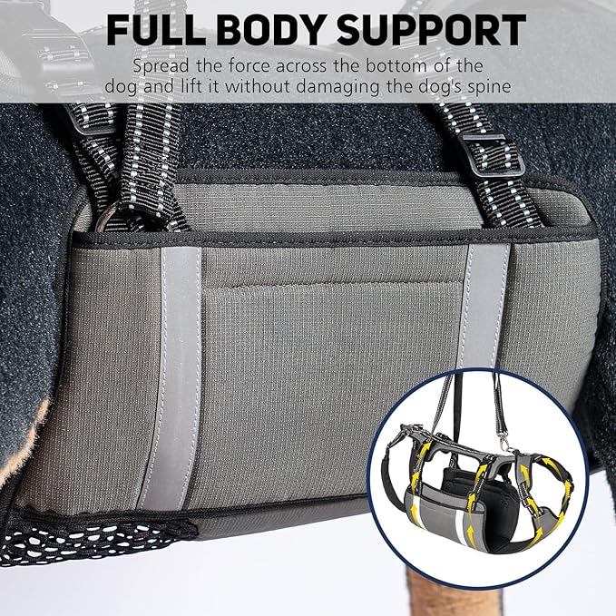 COODEO Mobility Dog Lift Harness, Emergency Carry Sling, Pet Rear Leg Support Rehabilitation Lifts Vest, Dog Carrier for Senior Dogs Joint Injuries, Arthritis (Orange, M)-Mewly Pet