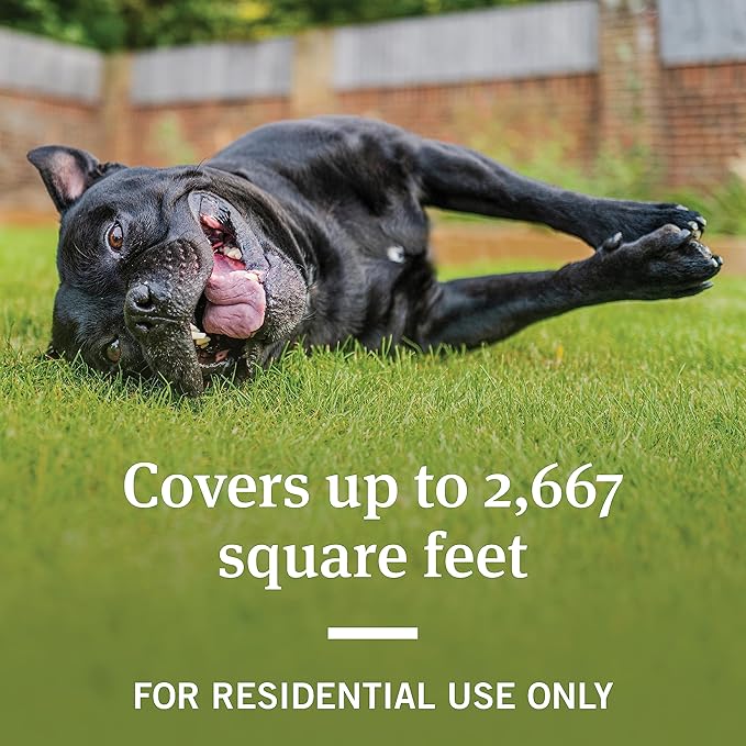 PetArmor Home Yard Spray for Dogs, Kills and Protects Against Fleas, Ticks, Mosquitoes, Ants, and Other Bugs, 32oz-Mewly Pet