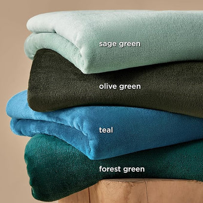 Bedsure GentleSoft Bedding Fleece Blanket for Girls and Boys - Soft Cozy Cute Small Throw Blankets for Travel, 43x55 Inches, Sage Green