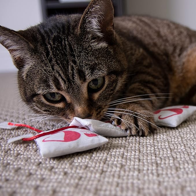 Petlinks (3 Set) Tea Zing Catnip Cat Toys - Randomly Selected Color, 3 Set-Mewly Pet