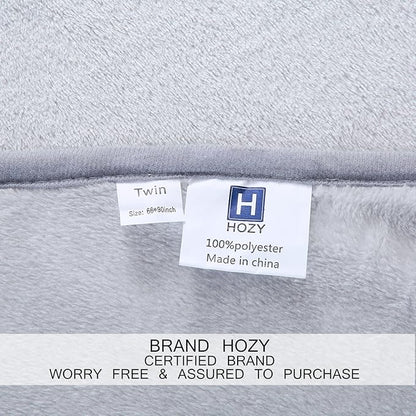 Soft King Size Blanket All Season Warm Fuzzy Microplush Lightweight Thermal Fleece Blankets for Couch Bed Sofa,90x108 Inches,Gray