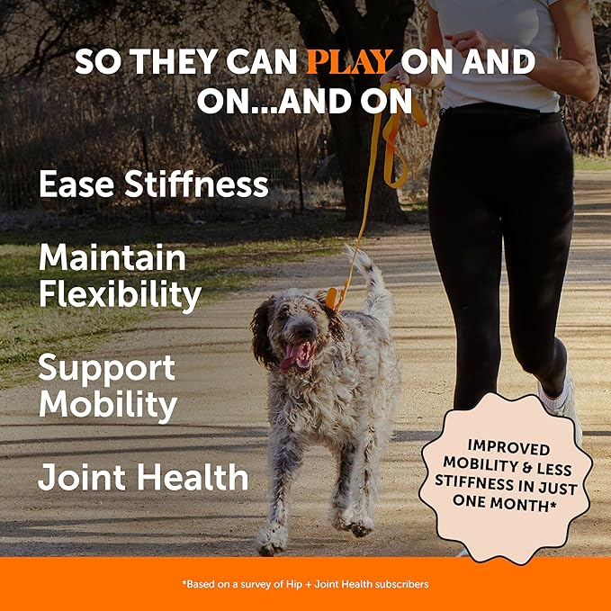 Hip & Joint Health - Glucosamine for Dogs Soft Chews, Joint Supplement for Dogs with Glucosamine Chondroitin, Fish Oil, MSM, Turmeric, Advanced Pet Mobility Support (Bacon 90 Ct)-Mewly Pet