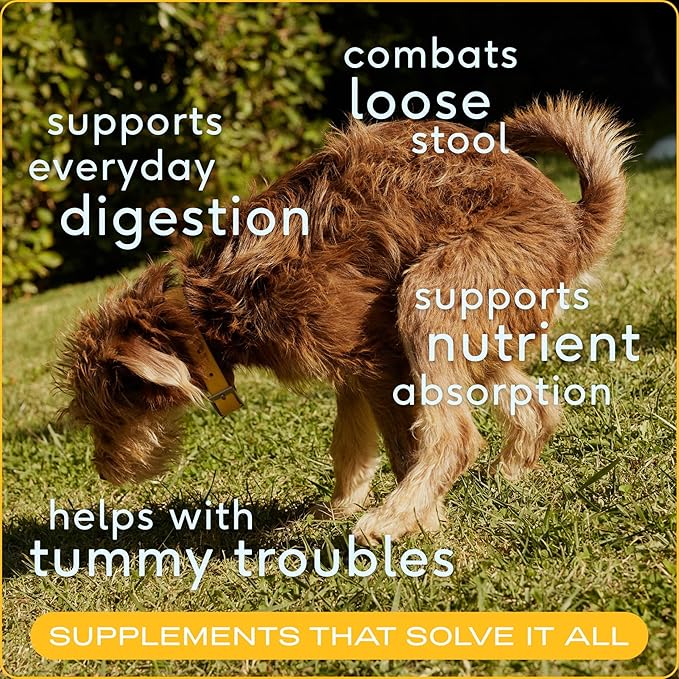 Native Pet Omega Oil for Dogs & Pumpkin for Dogs | Dog Fish Oil Supplements | All-Natural, Organic Pumpkin Fiber for Dogs | 8 Oz. Omega Oil & Pumpkin Powder-Mewly Pet