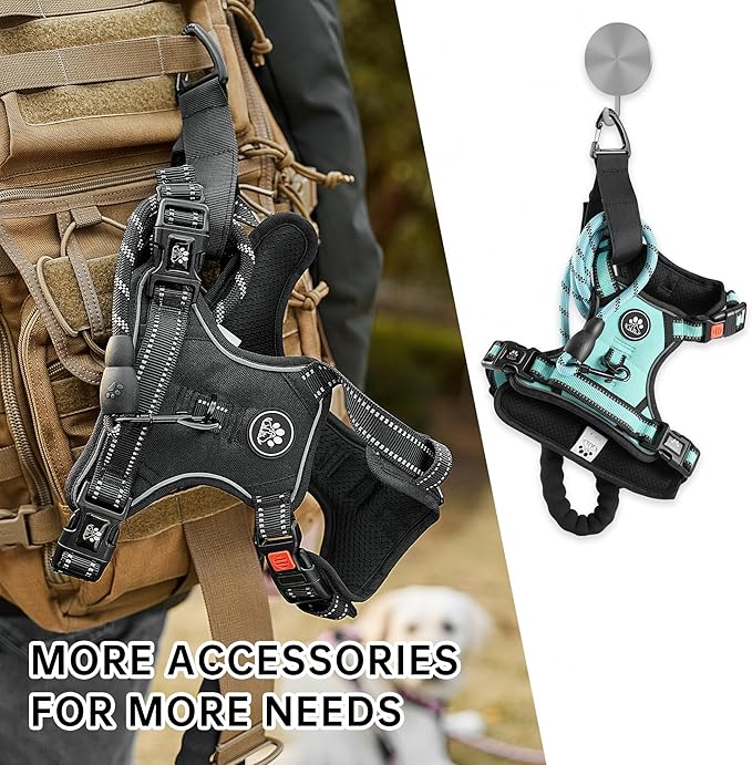 NESTROAD No Pull Dog Harness,Adjustable Oxford Dog Vest Harness with Leash,Reflective No-Choke Pet Harness with Easy Control Soft Handle for Large Dogs(Large,Turquoise)-Mewly Pet