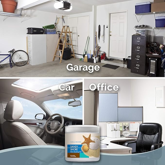 SMELLS BEGONE Air Freshener Odor Absorber Gel - 15 oz, Pack of 2 - Absorbs and Eliminates Odor in Pet Areas, Bathrooms, Cars, & Boats - Made with Essential Oils - Sandy Shore Scent-Mewly Pet