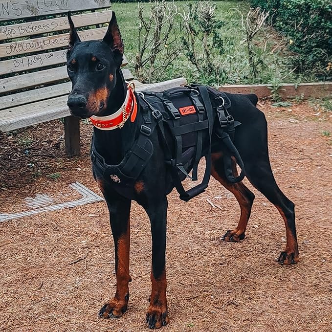 OneTigris Dog Lift Harness for Large Dogs, Dog Hip Support Brace, Full Body Lifter with Handles Invictus Multifunctional Mobility Assistance Vest for Back Legs (Black, Large)-Mewly Pet