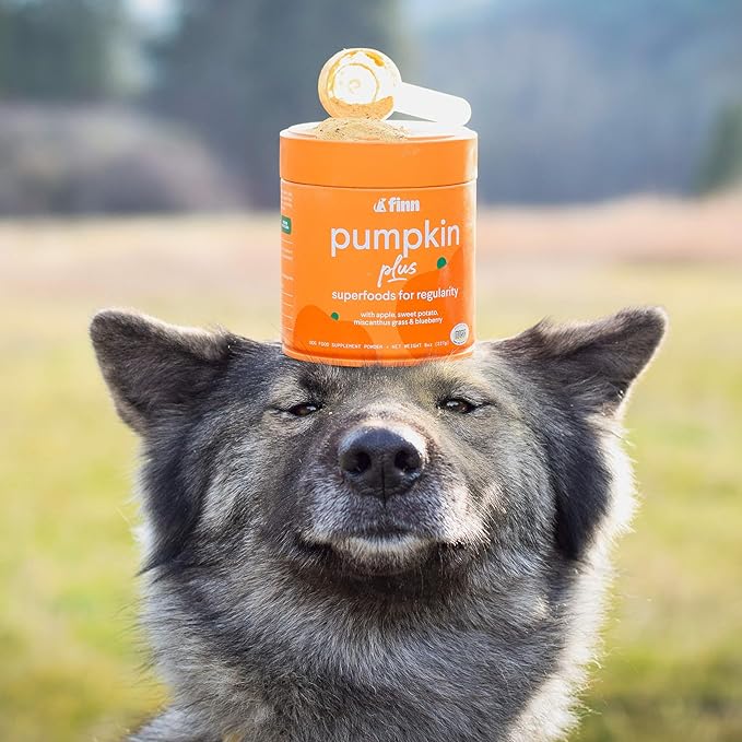 Finn Pumpkin Plus: Daily Digestive Support & Fiber-Rich Topper for Dogs | Promotes Regularity & Gut Health with Superfoods-Mewly Pet