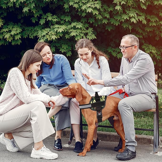 Dogline Dog Harness, Reflective No-Pull Adjustable Vest with Handle for Walking, Training, Breathable, No - Choke Harness for Small, Medium or Large Dogs Room for Patches Girth 22"-28" in Green Camo-Mewly Pet