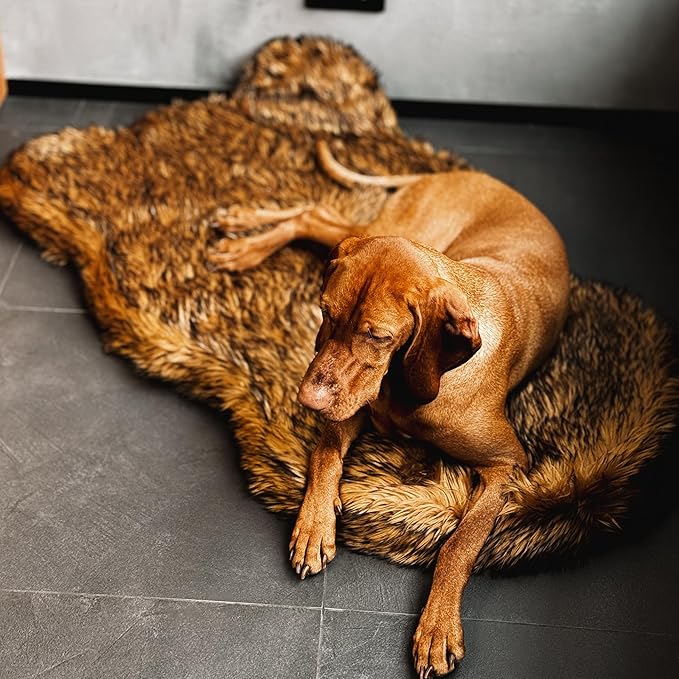 IHAPPYDOG Luxury Faux Fur Orthopedic Dog Bed, Memory Foam Dog Bed for Small, Medium, Large and XL Pets, Fluffy Pet Bed with Waterproof and Washable Cover (Brown, 50"x30")-Mewly Pet