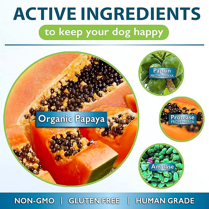 Papaya for Dogs Digestive Enzyme Complex to Support Normal Intestinal Function, Boost Immunity, with Organic Papaya Fruit + Papain, Protease & Amylase, 90 Soft Chews-Mewly Pet
