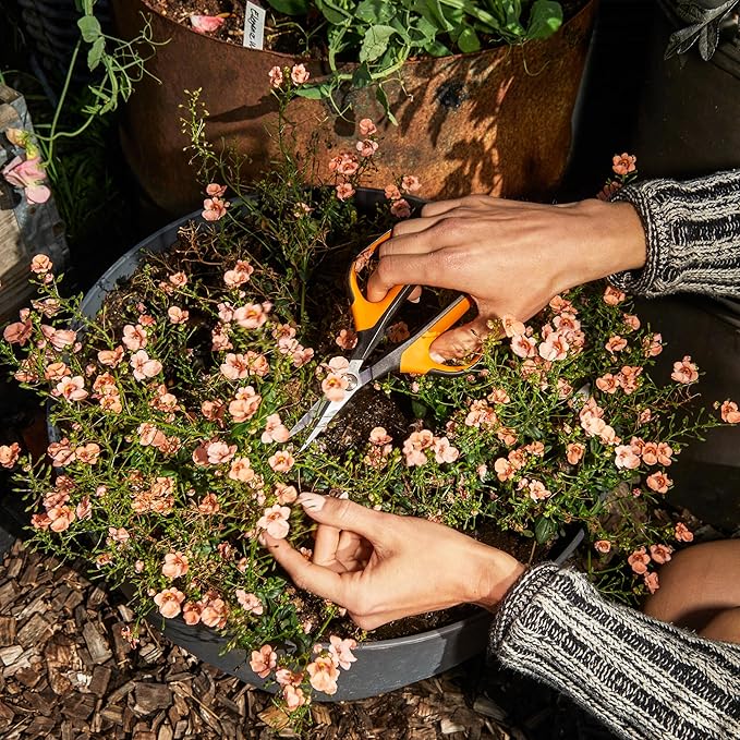 Fiskars Comfort Loop Micro-Tip Pruning Snips - 7" Garden Shears with Sheath and Extra Large SoftGrip Handle - Yard and Garden Tools - Orange/Black-Mewly Pet