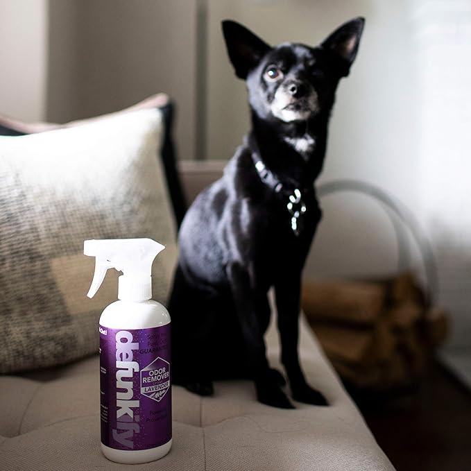 Odor Remover Spray, 16oz (2-Pack). 'Lavender' Essential Oil Odor Eliminator for Strong Odors on Fabric, Shoes, Activewear. 'ProvenSafe' Deodorizer for Pets, Kids & Sensitive Gear w/Ionic Silver-Mewly Pet