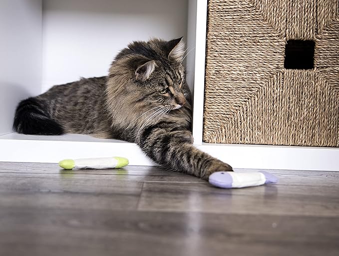 SmartyKat (9 Count Fish Flop Crinkle Catnip Cat Toys - Multi Color, 9 Count (Pack of 12)-Mewly Pet