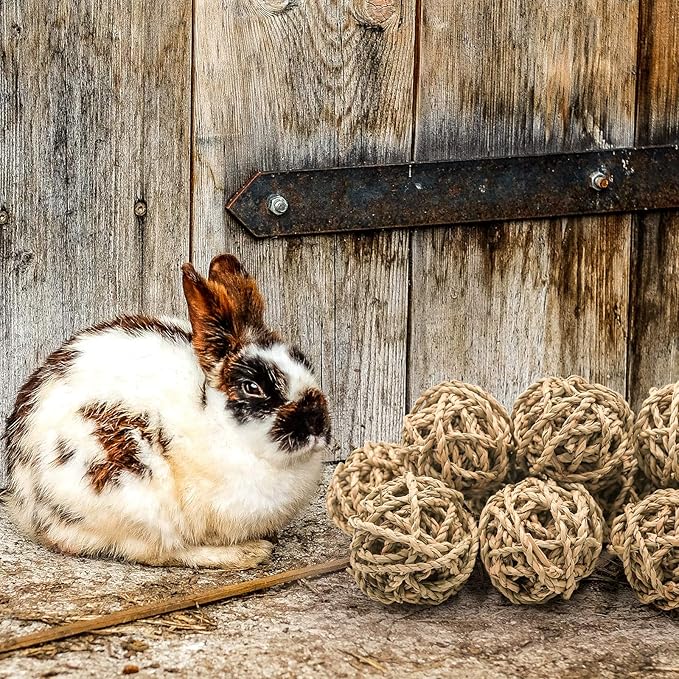 10 Pcs Small Animals Play Balls Rolling Activity Chew Toys Gnawing Treats for Rabbits Guinea Pigs Chinchilla Bunny Natural Balls, Pet Cage Entertainment Accessories(10Pcs)-Mewly Pet