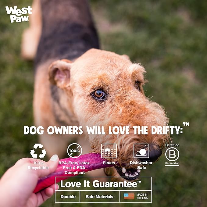 WEST PAW Seaflex Drifty Dog Toy – Machine Washable Dog Toys for Moderate Chewers – Eco-Friendly Zogoflex Toys for Dogs – Perfect for Gnawing, Fetch, Catch, Pet Training – 8.5" Large, Emerald-Mewly Pet