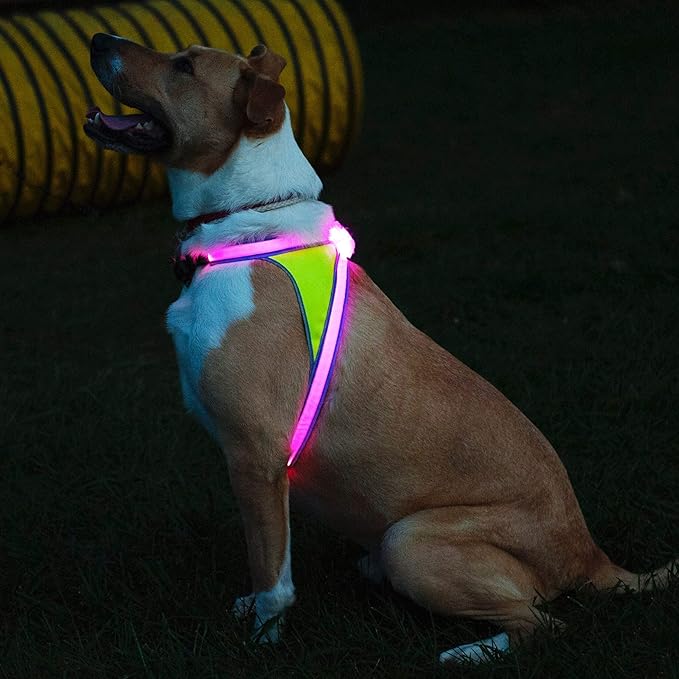 Noxgear LightHound – Revolutionary Illuminated and Reflective Harness for Dogs Including Multicolored LED Fiber Optics (USB Rechargeable, Adjustable, Lightweight, Rainproof) (Large)-Mewly Pet