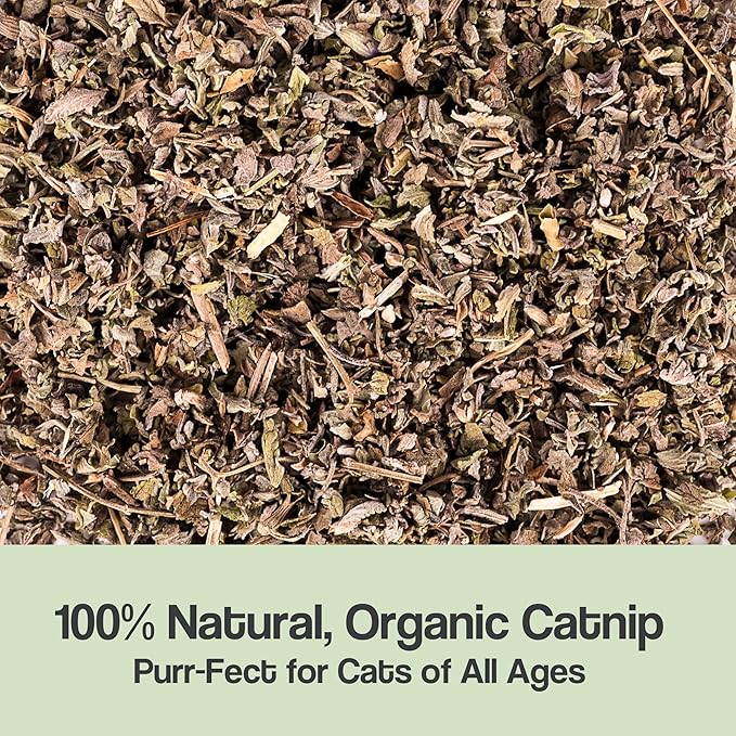 Organic Catnip for Cats & Kittens – 1.76 oz Premium Natural Catnip, High Potency Blend for Playtime, Training, and Stress Relief, 2 Cups of Dried Cat Nip Leaves-Mewly Pet