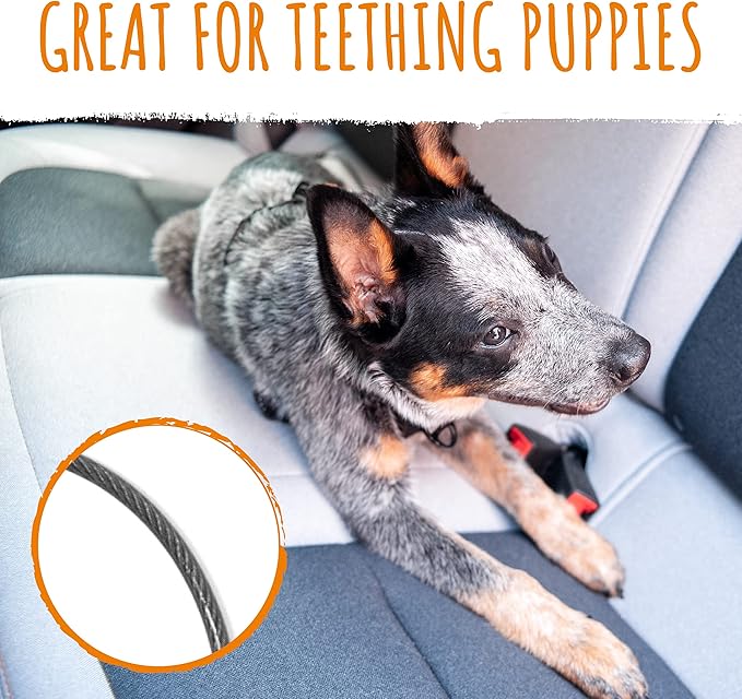 Mighty Paw Dog Seat Belt Vehicle - Chew-Proof Dog Belt - Great for Teething Puppies - Latch Bar Attachment Like Child's Car Seat - Aviation Aluminum Carabiner - Strong Enough for Climbers - 850+ LB-Mewly Pet