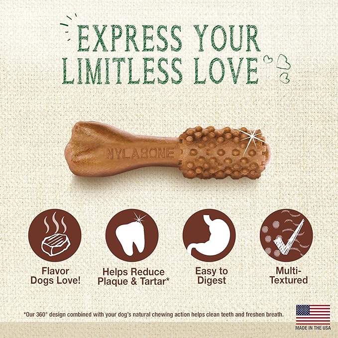 Nylabone Nutri Dent Dog Dental Chews - Natural Dog Teeth Cleaning & Breath Freshener - Dental Treats for Dogs - Filet Mignon Flavor, Mini (32 Count)-Mewly Pet