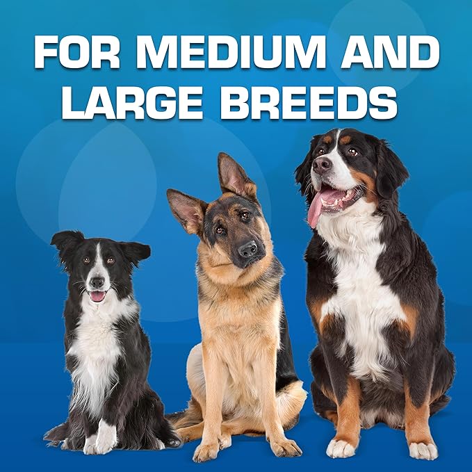 Nerf Dog Classic Squeak Ball Outdoor Dog Toys, 3.8 Inch Dog Ball Fetch Toy, Squeaking Toy for Medium and Large Breeds, Green/Red, 2 Count-Mewly Pet