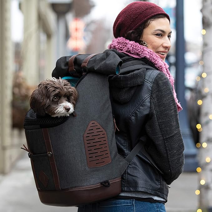 Kurgo Dog Carrier Backpack for Small Pets - Dogs & Cats | Cat | Hiking or Travel | Waterproof Bottom | K9 Ruck Sack (Heather Black)-Mewly Pet