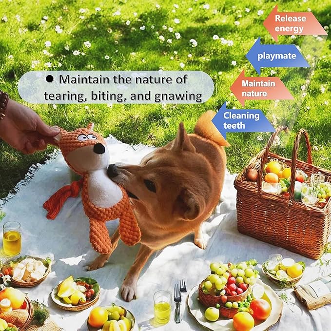 Nana Petit Fox Squeaky Dog Toys for Small & Medium Dogs – Plush Chew Toy, Interactive Puppy Teething Toys for Aggressive Chewers, Cute Stuffed Animal for Play, Training & Indoor Fun-Mewly Pet