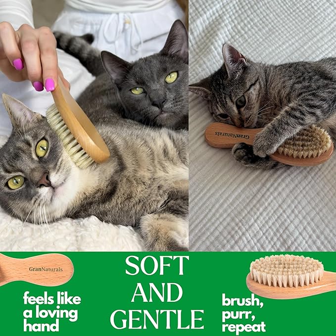 GranNaturals Boar Bristle Soft Cat Brush for Indoor, Outdoor, Short Haired Cats, Kittens, Small Dog, Rabbit, Furry Pets - Gentle Grooming on Sensitive Hair Coat & Tail with Durable Wooden Handle-Mewly Pet