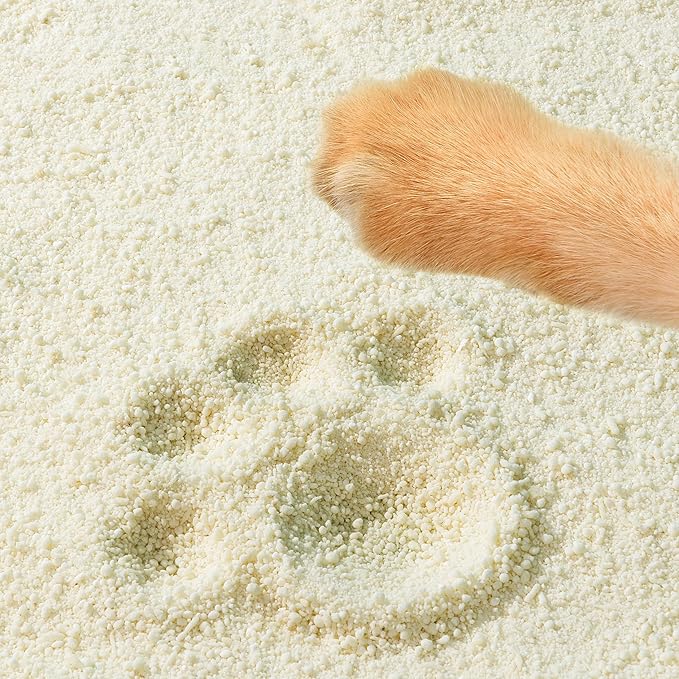 Tofu Cat Litter Natural Clumping Tofu Cat Litter 5.5lb/88oz 5 Scents (Watermelon + Wonder Litter, 2 Pack)-Mewly Pet