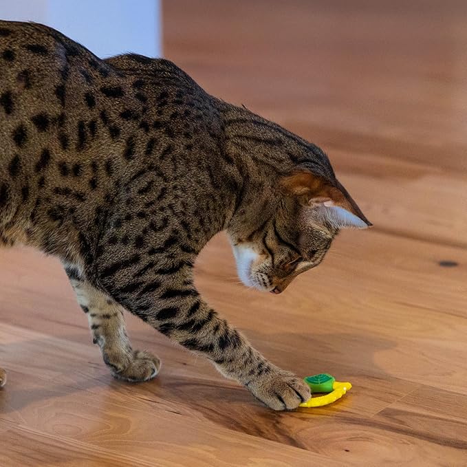 Catstages Dental Lemon Teether, Soft and Textured Cat Chew Toy, Catnip Oil Coating, Yellow-Mewly Pet