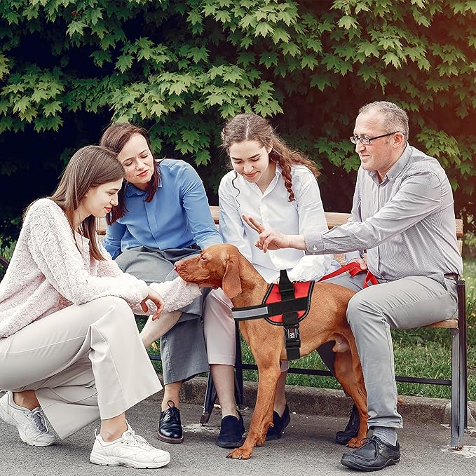 Dogline Dog Harness, Reflective No-Pull Adjustable Vest with Handle, Breathable No-Choke Harness for Small, Medium or Large Dogs Room for Patches Girth 22"-28" in Red-Mewly Pet