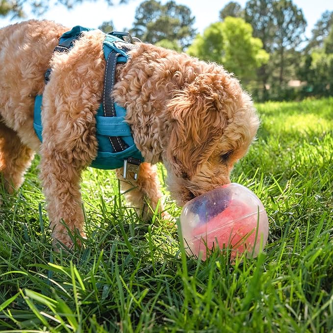 Outward Hound Nina Ottosson Topsy Treat Ball Dog Puzzle Interactive Treat Puzzle Dog Enrichment Dog Toy, Level 1 Beginner, Orange-Mewly Pet