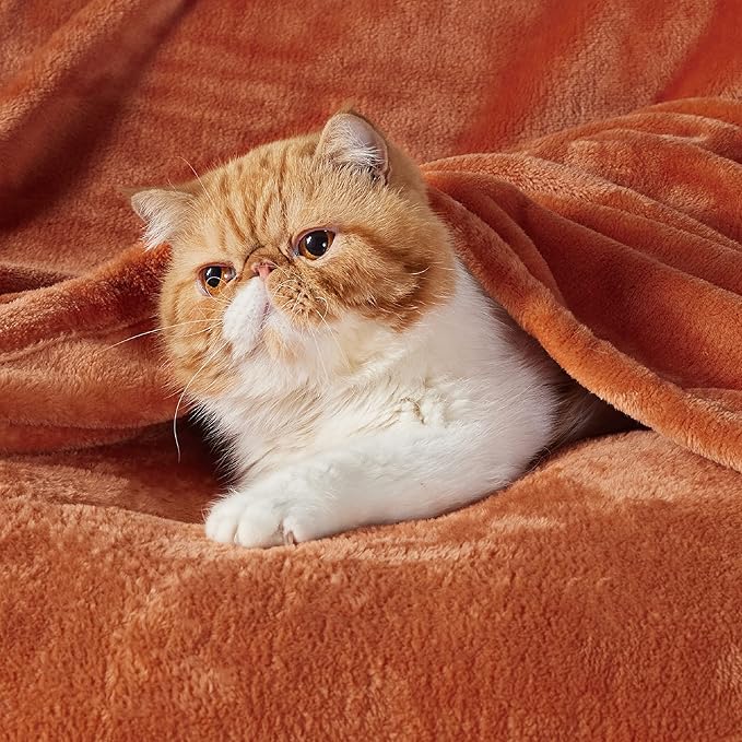 Bedsure GentleSoft Twin XL Fleece Blanket Dorm Bedding - Lightweight Soft Cozy Blankets for Bed, Sofa, Couch, Travel, Camping, Burnt Orange, 66"x90"