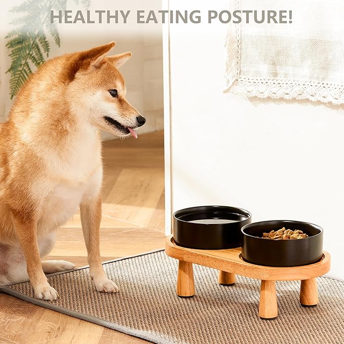 Ceramic Elevated Dog Bowls, Pet Food and Water Bowl Set for Small Dogs and Cats, 1.7 Cups Elevated Cat Bowls with Wood Stand, 14OZ, Black-Mewly Pet