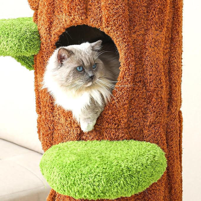 Magic Forest Cat Tree Tower, 62 inches Tall, Real Solid Wood Cat Tree for Multi-Cat Household-Mewly Pet