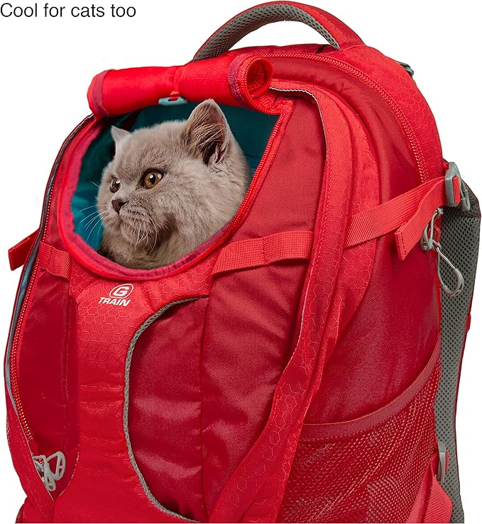 Kurgo G-Train - Dog Carrier Backpack for Small Pets - Cat & Dog Backpack for Hiking, Camping or Travel - Waterproof Bottom - Red-Mewly Pet