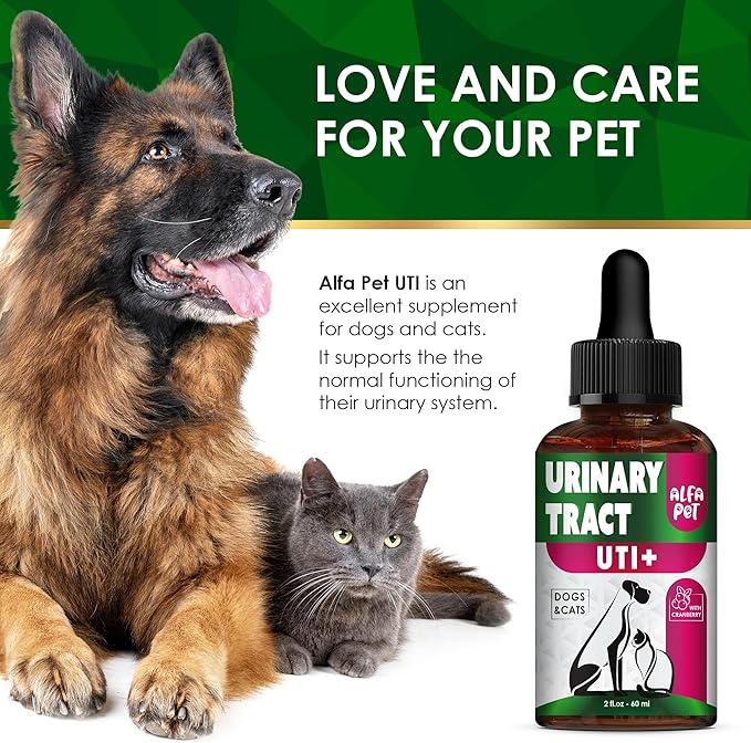 Сat Urinary Tract Infection Treatment with Cranberry – Dog UTI Treatment to Care for Bladder – Cat UTI Treatment for Kidneys – Preventive Support for Renal Health in Drops – 2 Oz-Mewly Pet