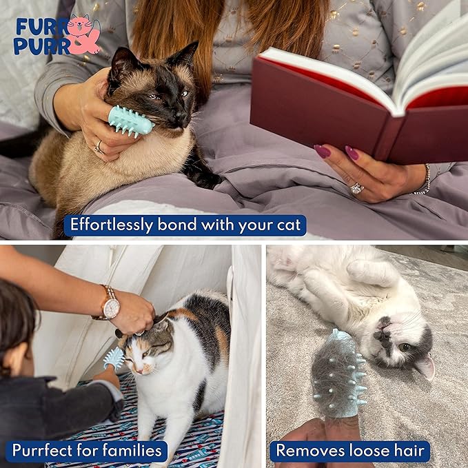 Furr&Purr Cat Brush Set for Indoor Cats - Grooming Tools: Face Scratcher, Calming Massager, and Scratching Pad (2-Pack, Made in the USA)-Mewly Pet