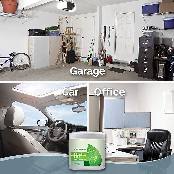 SMELLS BEGONE Air Freshener Odor Absorber Gel - 15 oz, Pack of 2 - Absorbs and Eliminates Odor in Pet Areas, Bathrooms, Cars, & Boats - Made with Essential Oils - Calming Rain Scent-Mewly Pet