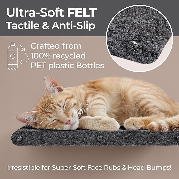 Wall Mounted Cat Perch Long Shelf by Pryde Pets - Floating Hammock Bed, 100% Sustainable PET Felt Feline Enrichment Climber Furniture for Indoor Cats, Modern Climbing Gym Jungle Design (Charcoal)-Mewly Pet