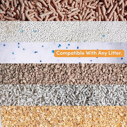 Clean Revolution Cat Litter Deodorizer Spray – 18oz, Probiotic Odor Elimination with DustLock™, Fragrance-Free, Extends Litter Life, Non-Toxic, Safe for All Cats, Made in USA-Mewly Pet