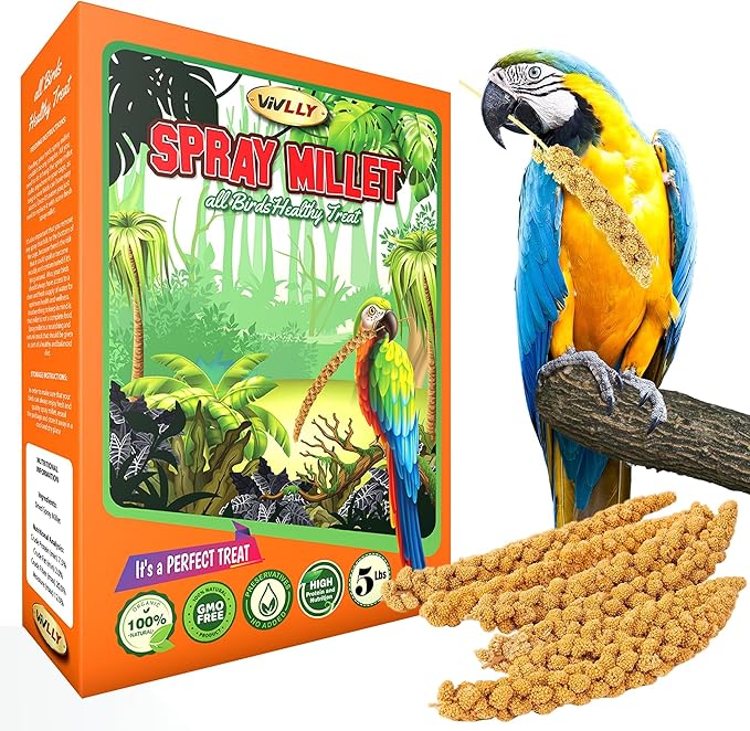 5LBS GMO-Free Sun Dried Spray Millet - Original Bird Treat Millet for Parakeets, Cockatiels, Finches & More - Non-GMO, High in Amino Acids, Easy Storage, Tasty & Healthy Bird Snacks (5 lbs)-Mewly Pet
