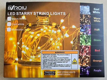 Fairy Lights CR2032 Battery Operated,6.6Ft/2Meter 20 LEDs Micro Silver Wire String Lights for Bedroom Christmas Party Wedding Decoration(Warm White, 12 Pack)