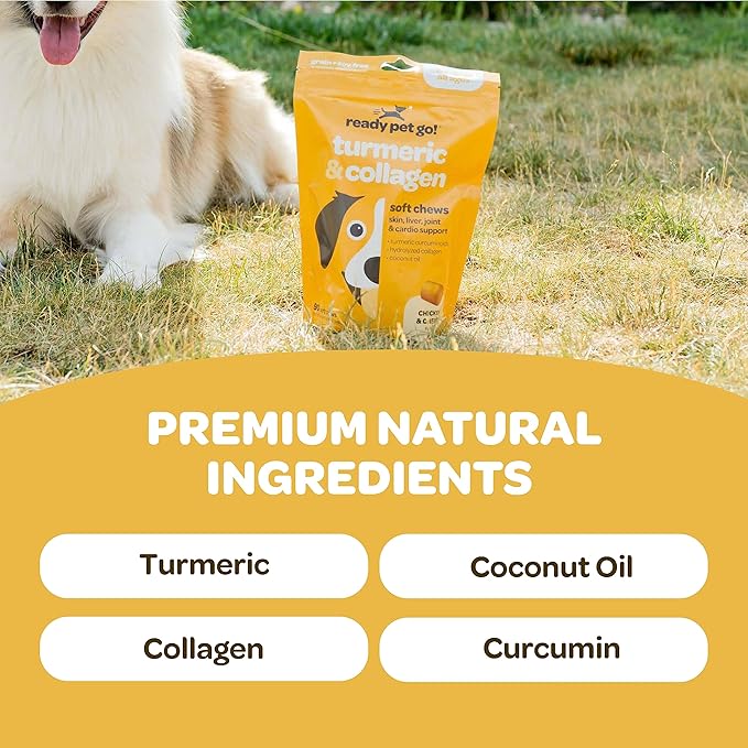Turmeric for Dogs Soft Chews | Hip and Joint Chews for Dogs Comfort & Mobility with Collagen for Dogs | Dog Joint Supplement for All Ages Breeds & Sizes | NASC Certified & Made in The USA | 90 Chews-Mewly Pet