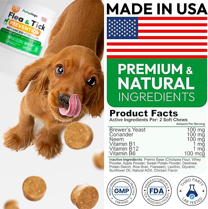 Flea and Tick Prevention for Dogs Pills - Natural Dog Flea & Tick Control - 170 Soft Chewables - Oral Defense Treatment for Dogs Supplement - Vet Formulated Chews - All Breeds & Ages - Made in USA-Mewly Pet