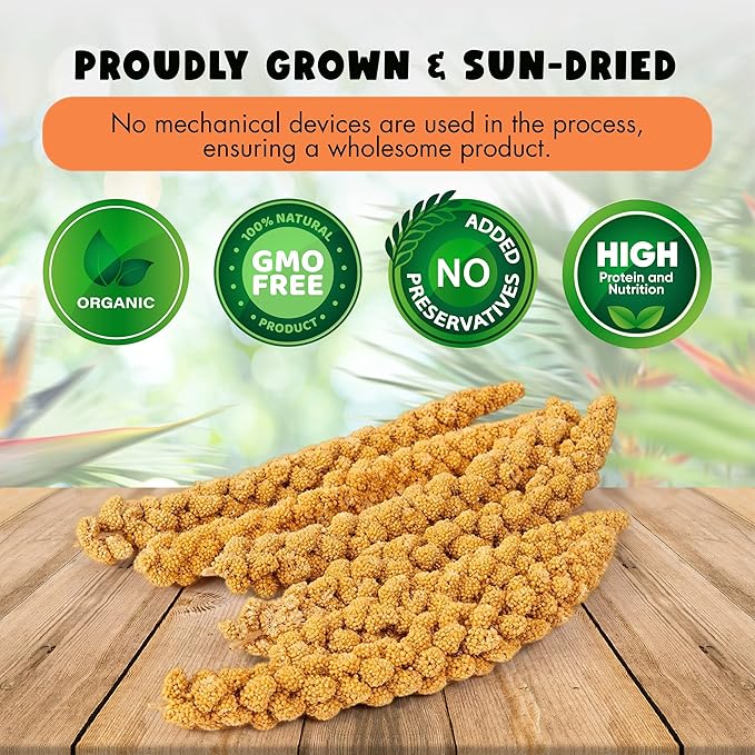 5LBS GMO-Free Sun Dried Spray Millet - Original Bird Treat Millet for Parakeets, Cockatiels, Finches & More - Non-GMO, High in Amino Acids, Easy Storage, Tasty & Healthy Bird Snacks (5 lbs)-Mewly Pet