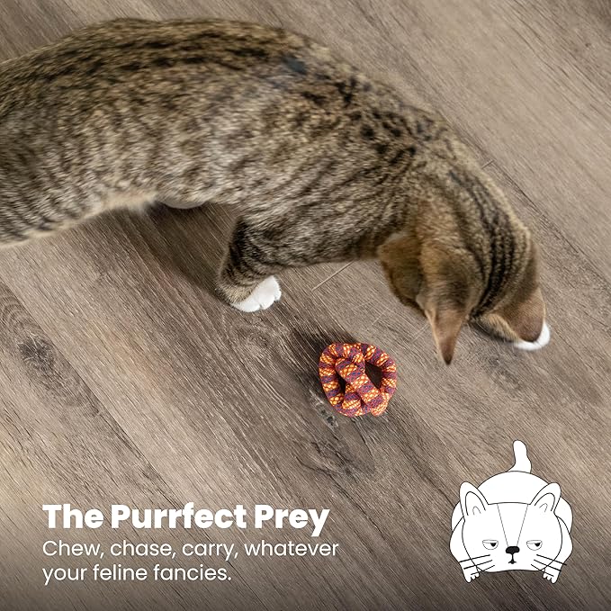 Catstages Plaque Away Pretzel Cat Toy – Interactive Catnip Dental Chew Toy to Help Clean Teeth, Fun for Play and Chewing, Orange-Mewly Pet